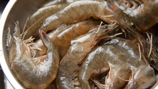 a bucket full of shrimp sitting on top of a table