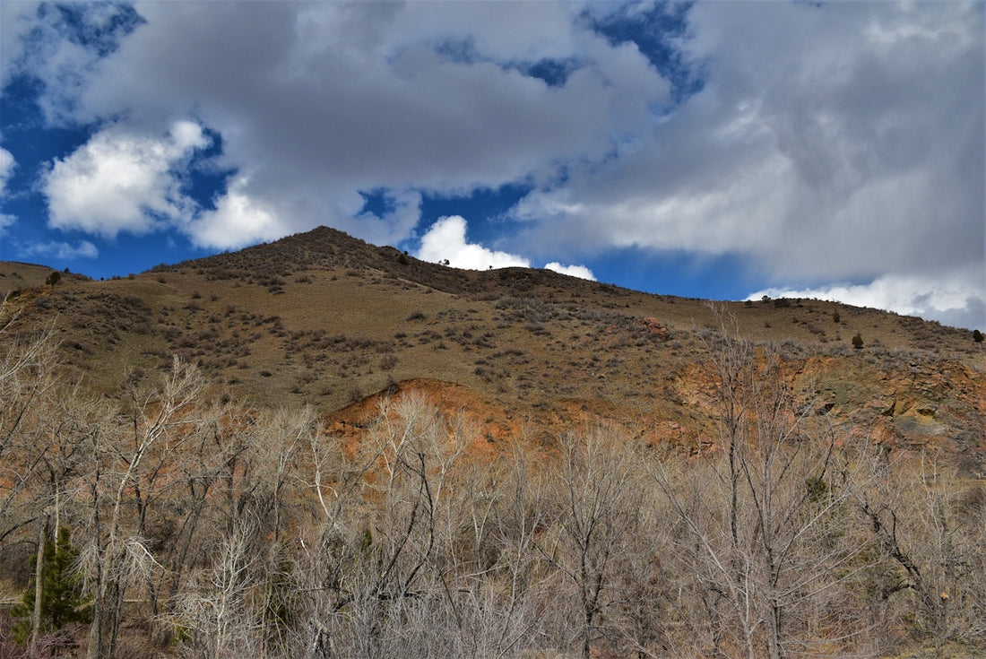 a mountain with trees and clouds in the background