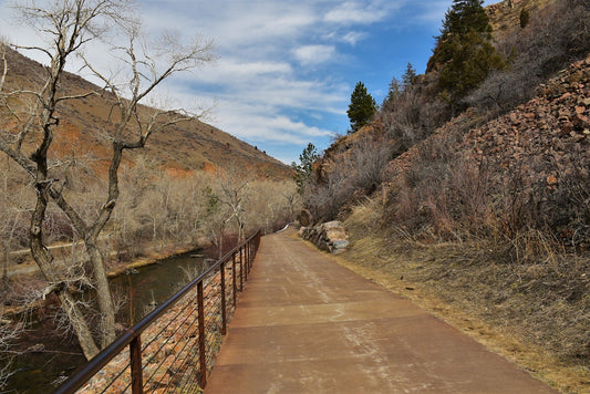 a dirt road next to a body of water