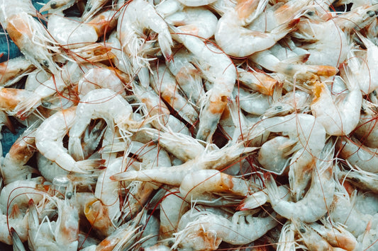 a bunch of shrimp that are laying on the ground
