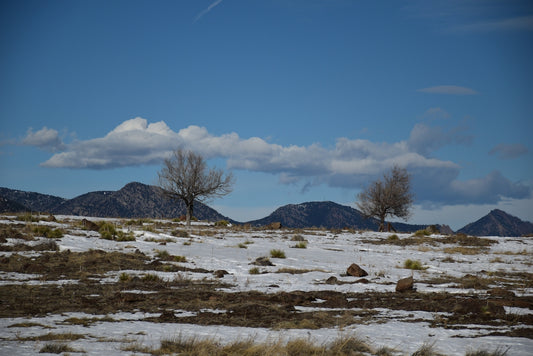 a snowy field with trees and mountains in the background